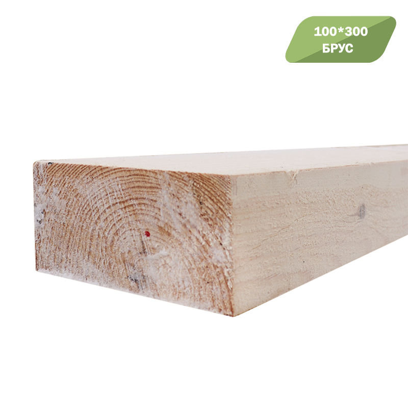 БРУС 100*300