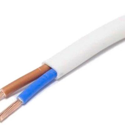 ПБППГ (ПУГНП