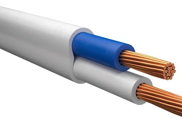 ПБППГ (ПУГНП