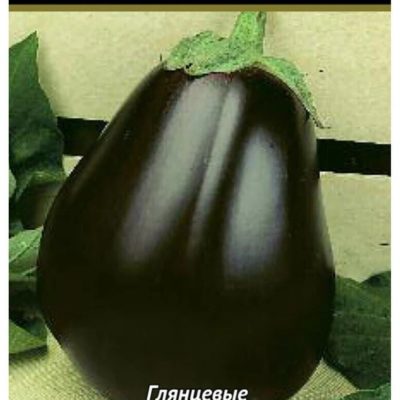 СЕМЕНА  БАКЛАЖАН  "ЧЕРНЫЙ КРАСАВЕЦ"  СРЕДНИЙ  0