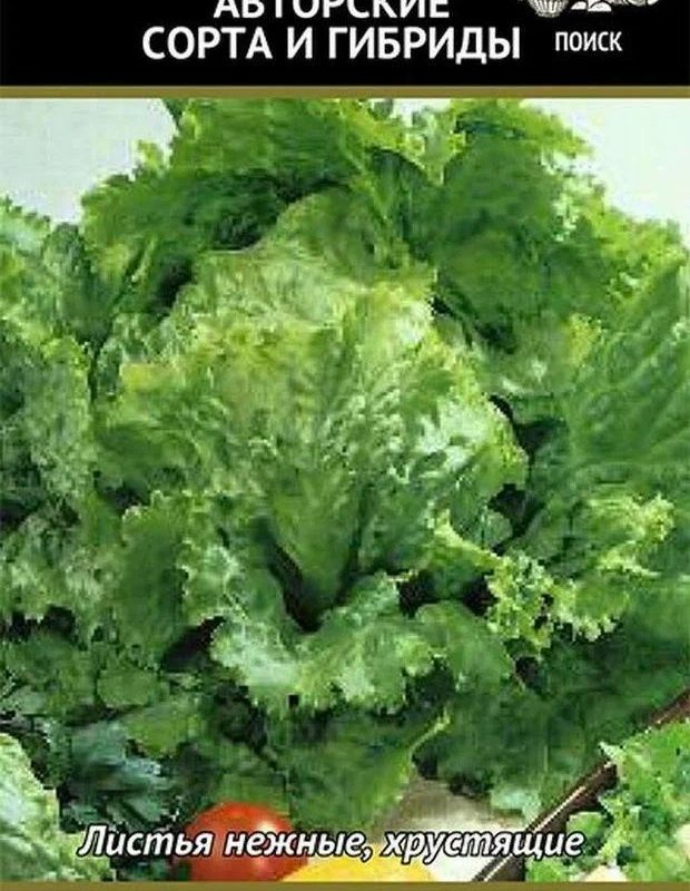 СЕМЕНА  САЛАТ "Олимп" полукачанный (Поиск)