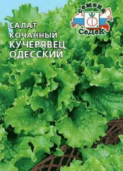 СЕМЕНА  САЛАТ П/КОЧАН.  "КУЧЕРЯВЕЦ ОДЕССКИЙ"  ПОЗДНИЙ  0
