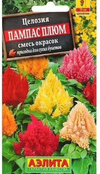 Семена Целозия Пампас Плюме
