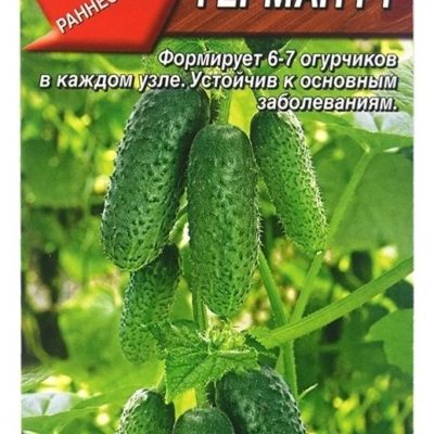 Огурец ГерманF1