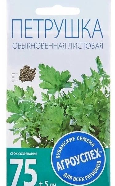 Петрушка листовая Обыкновенная