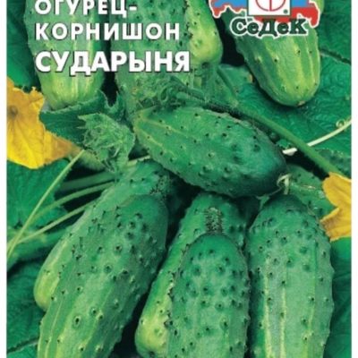 Огурец Сударыня Корнишон ранний