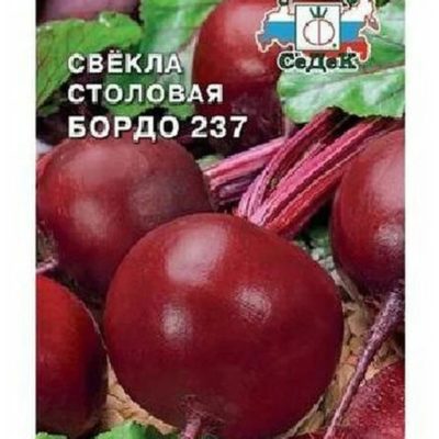 Свекла Бордо 237 столовая