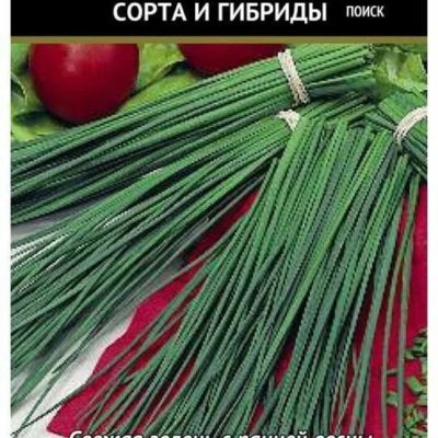 Лук на зелень шнитт Мудрец