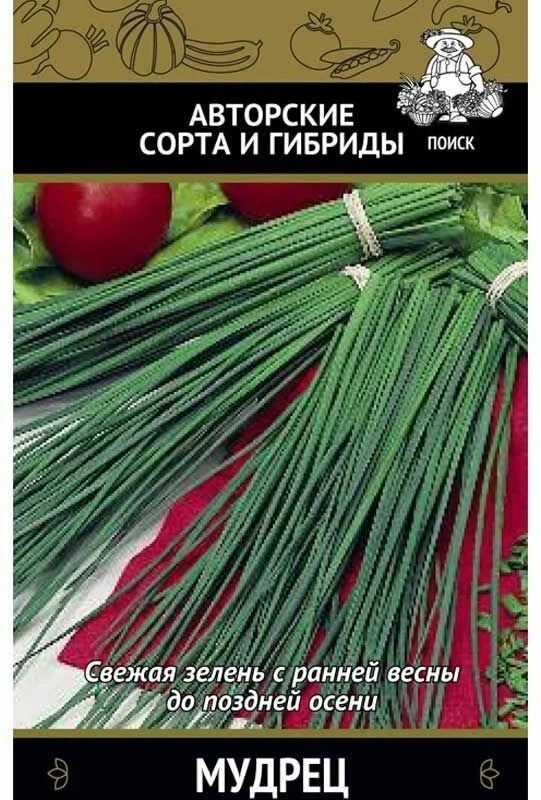 Лук на зелень шнитт Мудрец