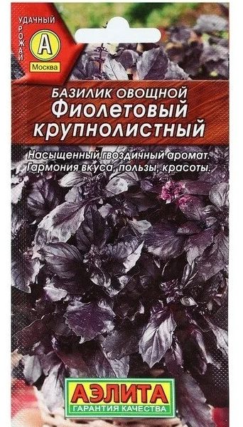 Базилик Фиолетовый