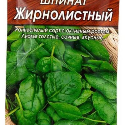 Шпинат Жирнолистовой