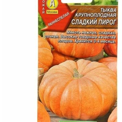 Тыква Сладкий пирог крупноплодная
