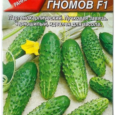 Семена Огурец Чемпион F1