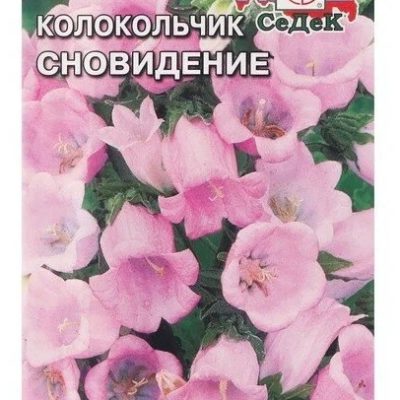 Семена Колокольчик Сновидение розовый