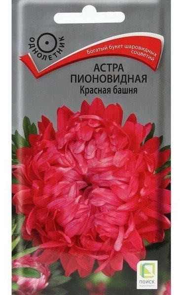 Семена Астра Метеор пионовидная красная
