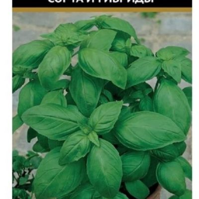 Клей двухкомпонентный RICH(абор для экспресс-склеивания)