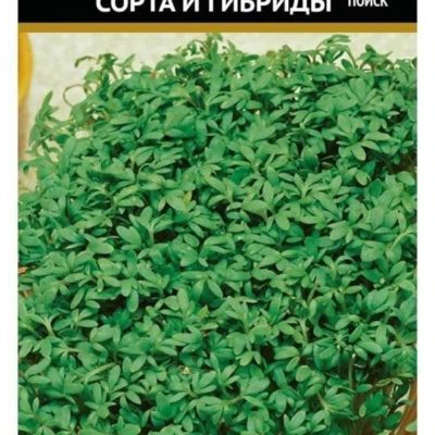 Монтажный клей-шпатлевка KLEBER