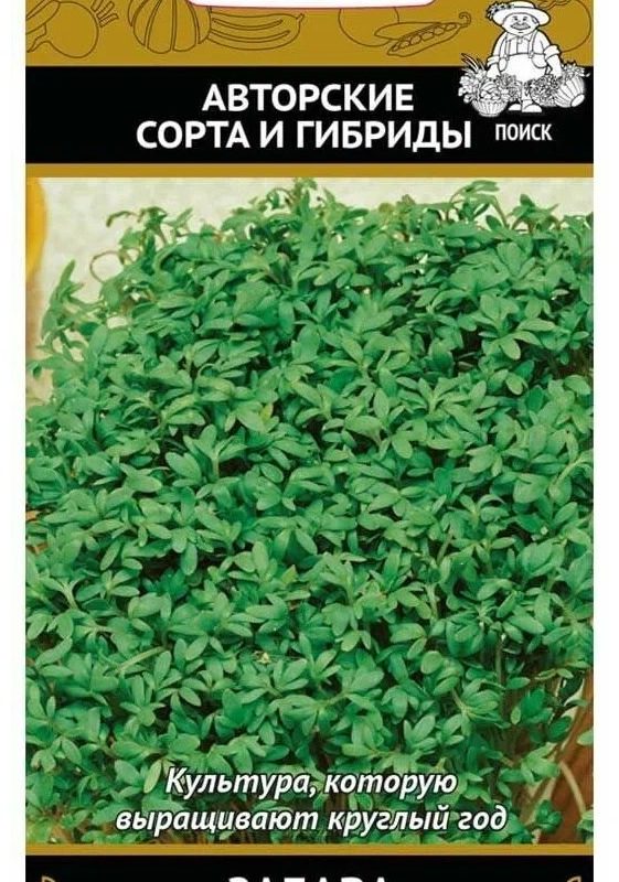 Монтажный клей-шпатлевка KLEBER