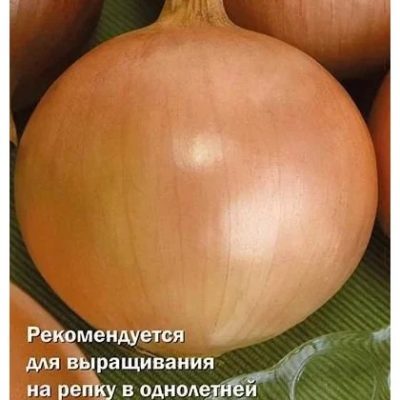 Лук репчатый " Талисман F1" "Поиск"