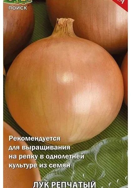 Лук репчатый " Талисман F1" "Поиск"