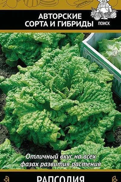 СЕМЕНА САЛАТ "РАПСОДИЯ"