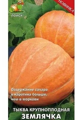 ТЫКВА КРУПНОПЛОДНАЯ ЗЕМЛЯНИЧКА