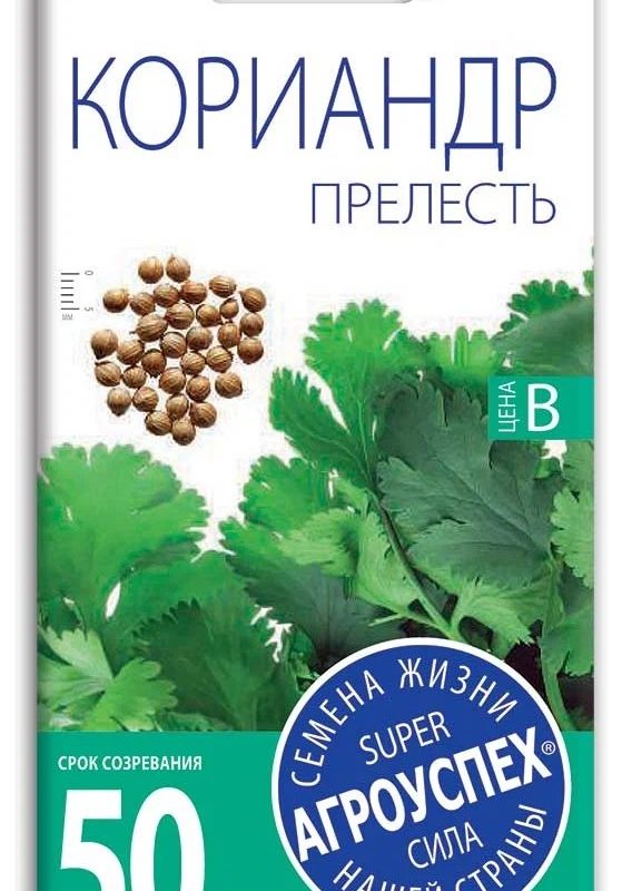 Супи Лаудесуоя 0