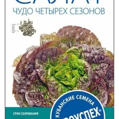 Sila Pro TopGun 65 winter Пена монтажная профф. 875 мл