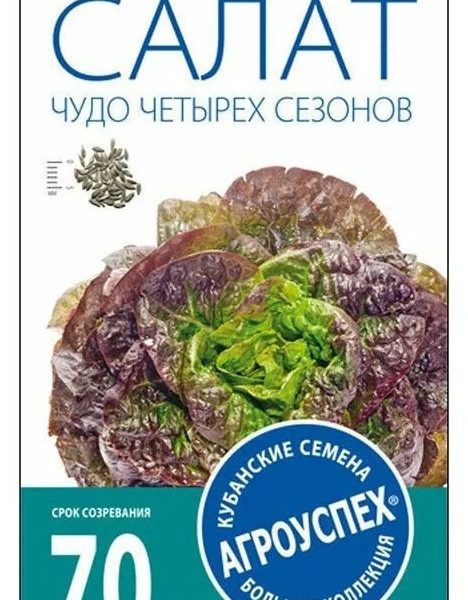 Sila Pro TopGun 65 winter Пена монтажная профф. 875 мл