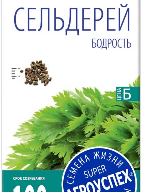 Сельдерей листовой "Бодрость"