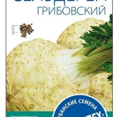 Сельдерей корневой "Грибовский"