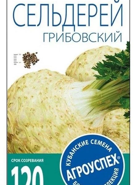 Сельдерей корневой "Грибовский"