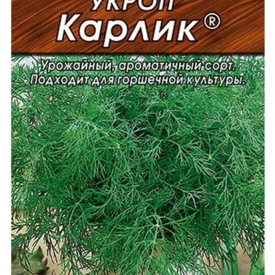 Укроп Карлик