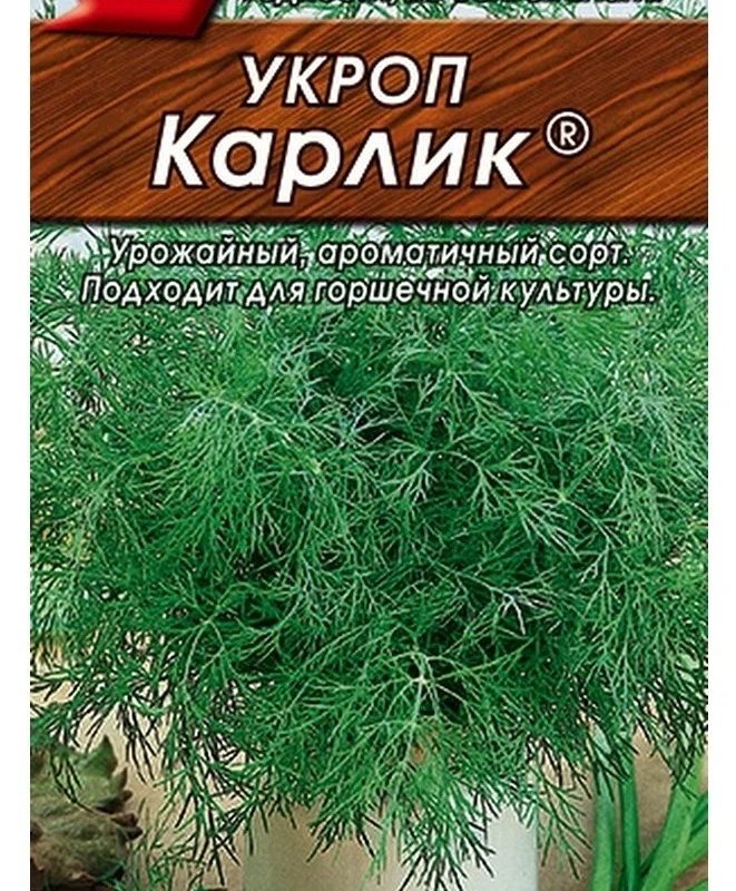 Укроп Карлик