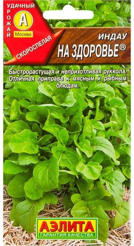 Руккола(индау) На здоровье