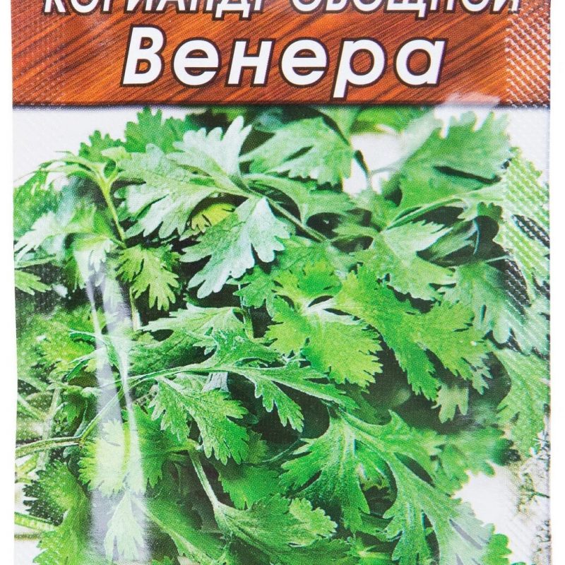 Кориандр ВЕНЕРА