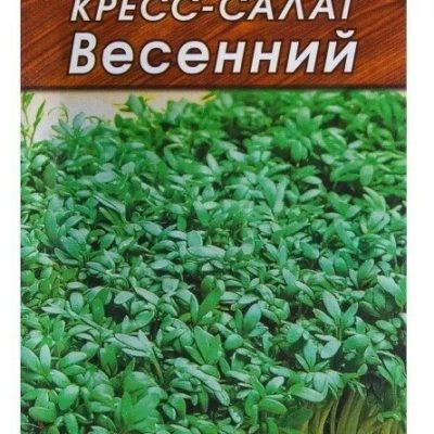 САЛАТ-КРЕСС ВЕСЕННИЙ