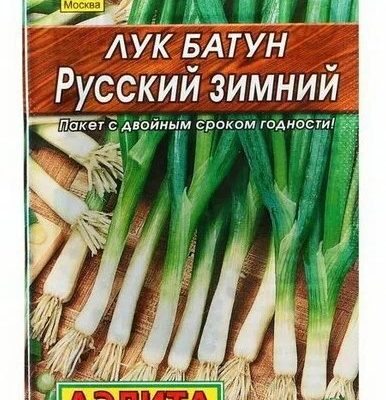 Семена Лук-батун Русский зимний