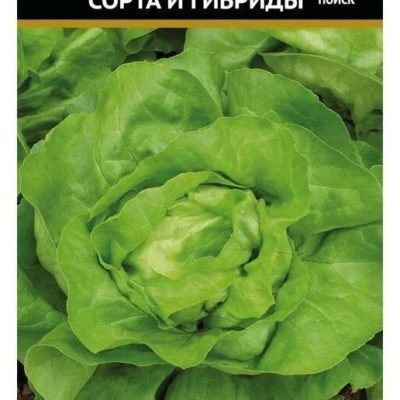 САЛАТ ЛИСТОВОЙ НАДИН