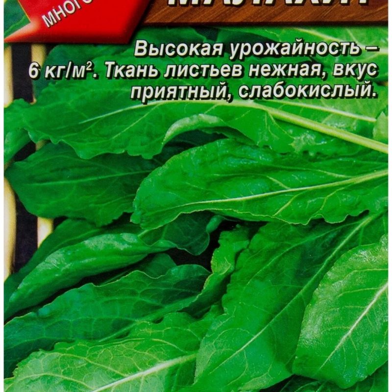 ЩАВЕЛЬ МАЛАХИТ