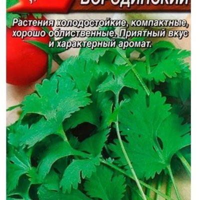 Кориандр АВАНГАРД овощной