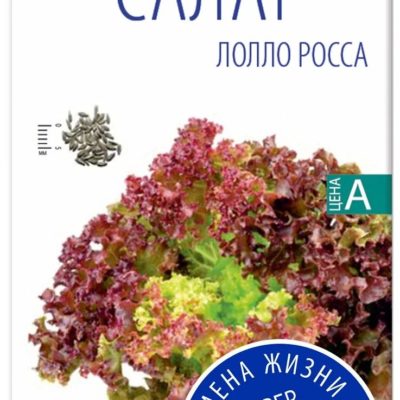 Семена Салат листовой Лолло Росса