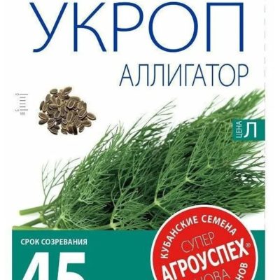 Укроп "Аллигатор"