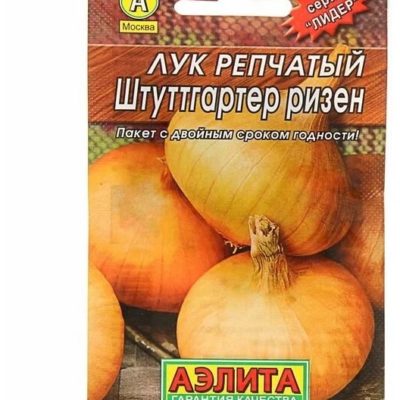 Лук репчатый Штуттгартер ризен