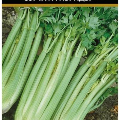 Семена Сельдерей черешковый ЮТА