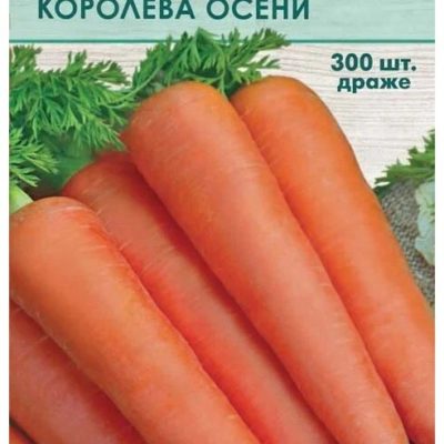Морковь Королева Осени