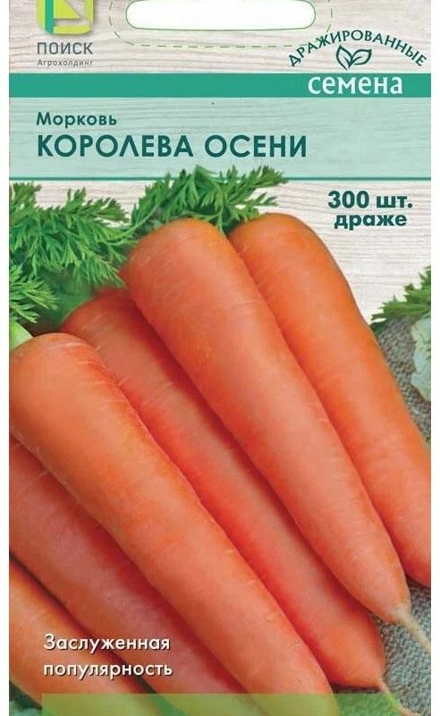 Морковь Королева Осени