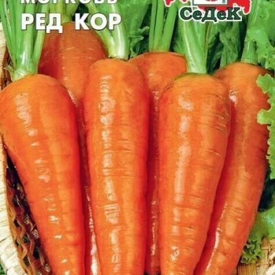МОРКОВЬ РЕД КОР ГОЛЛАНДИЯ