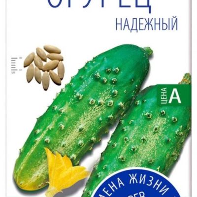 Огурец Надежный ранний (Агроуспех)