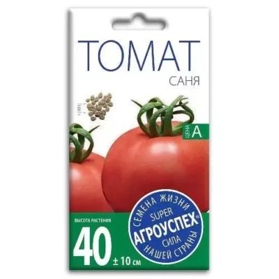 Пропитка декорат. для древесины Dufa Wood Protect тик 2